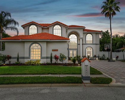 22847 Sonoma Lane, Lutz