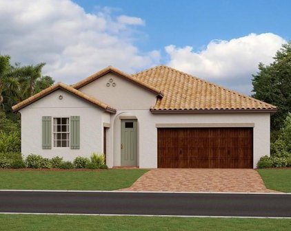 17115 Holly Well Avenue, Wimauma