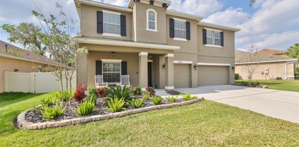11323 Coventry Grove Circle, Lithia