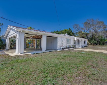 391 N Walton Avenue, Tarpon Springs