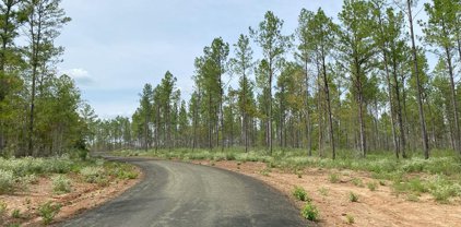 24633 Lot 20 Fm 844, Huntington