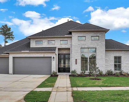 15439 Ringbill Way, Magnolia