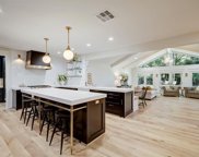 103 Big Hollow Lane, Houston image