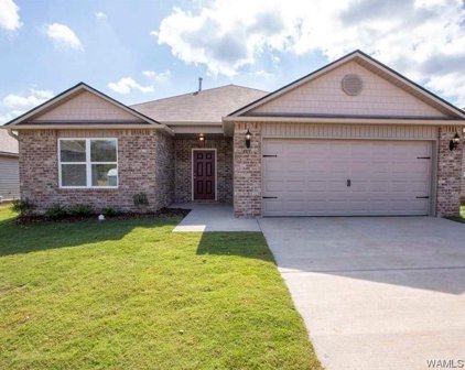 14129 King Arthur Court, Tuscaloosa