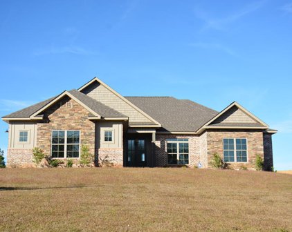 1494 County Road 520, New Brockton