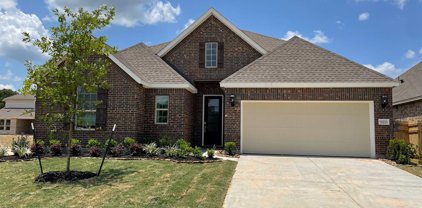18335 Tiger Flowers Drive, Conroe