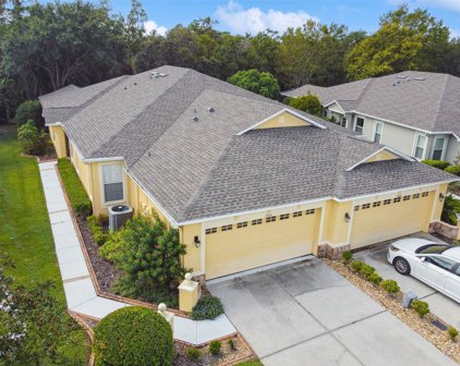 7504 Deer Path Lane, Land O' Lakes