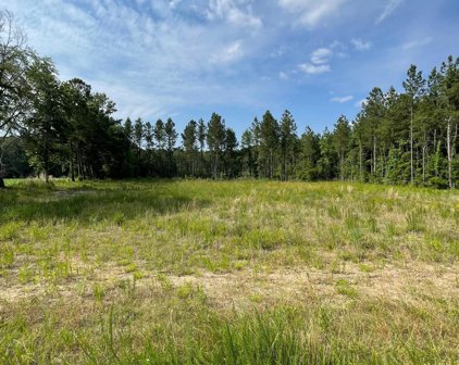 Sioux Swamp Dr., Conway