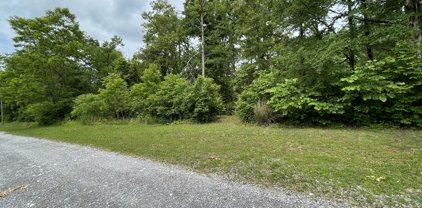 French Broad River Rd Lot 2, Seymour