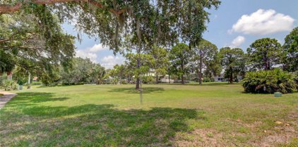 Harbour Watch Drive, Tarpon Springs