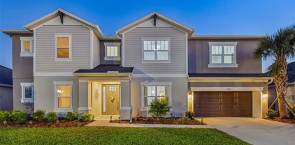 7107 Bradbury Circle, Wesley Chapel