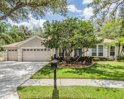 4102 Imperial Eagle Drive, Valrico