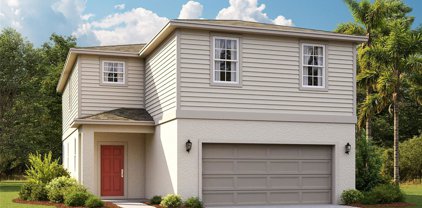 3335 Thicket Street, Tavares