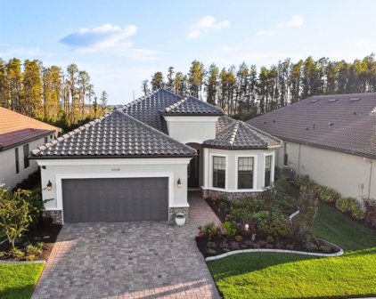 29546 Ginnetto Drive, Wesley Chapel