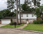 707 Romaine Lane, Houston image