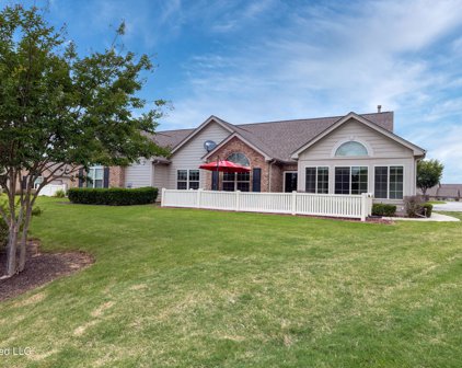 8713 Parkview Oaks Circle, Olive Branch