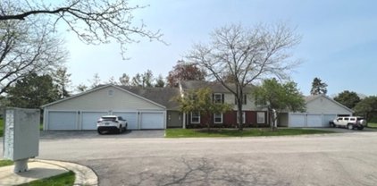 683 Greenfield Court Unit #B1, Bartlett