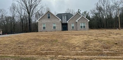 123 Deerfield Trace, Coldwater