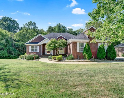 331 Early Wyne Dr, Taylorsville