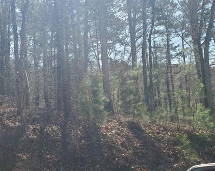 PIN-2973 Ridge Circle, Scottsboro