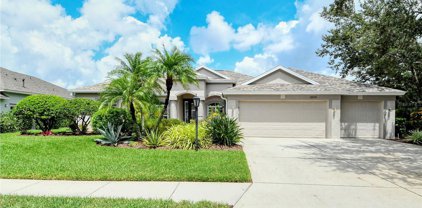 12115 Summer Meadow Drive, Lakewood Ranch