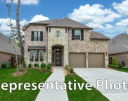 812 Fall Rock Branch Court, Conroe image
