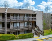 1081 Cove Road, Sevierville image