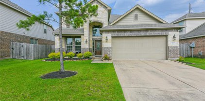 5209 Mesquite Willow Lane, Rosharon