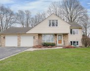 5309 Larkspur Lane, Lisle image
