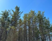 ON Lower Kaubashine Rd, Minocqua image