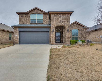 9133 Stormcrow  Drive, Fort Worth