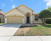 4948 Windingbrook Trail, Wesley Chapel image
