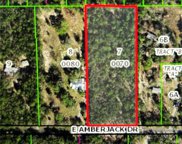 1561 E Amberjack Drive, Hernando image