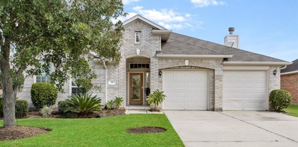 2967 Winter Berry Court, Pearland