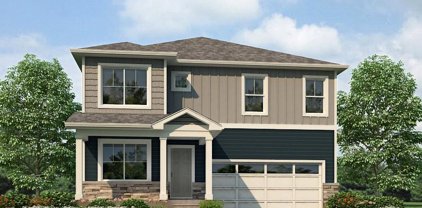 16245 Alpine Sorrel Drive, Monument