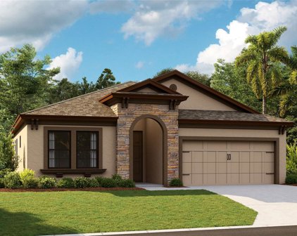 13023 Homestead Lane, Parrish