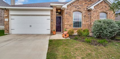 17727 Handies Peak, Helotes