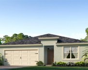 11333 Amber Ridge Drive, Zellwood image