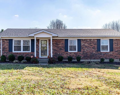 137 Hillcrest Dr, Mt Washington