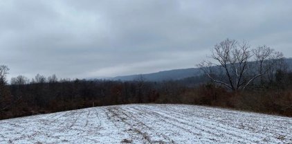 Mckees Gap Rd - Lot 5, Warfordsburg