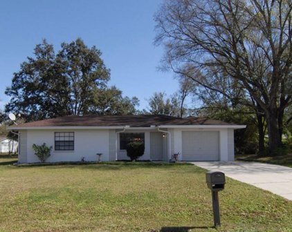 2732 Birdland Court, Land O' Lakes