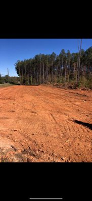 Ga Hwy 85, Ellerslie image