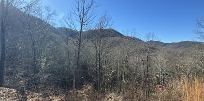 Lot 5 Caney Creek Rd, Pigeon Forge