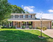 23W380 Chantilly Court, Naperville image