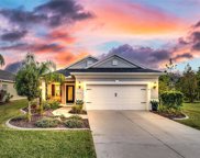 3726 Shimmering Oaks Drive, Parrish image