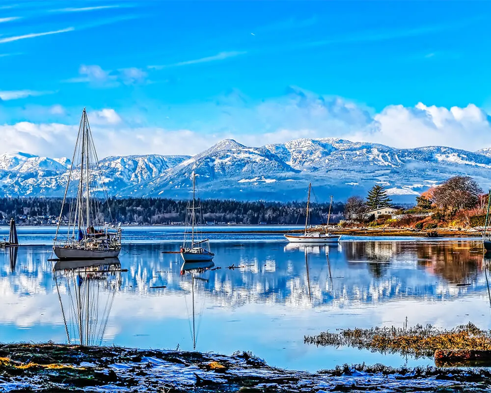 Comox Real Estate