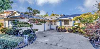 1773 Linnet LN, Sunnyvale