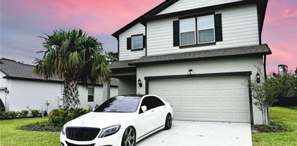 17212 Goldcrest Loop, Clermont