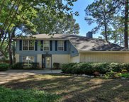 12802 Ravensong Drive, Cypress image