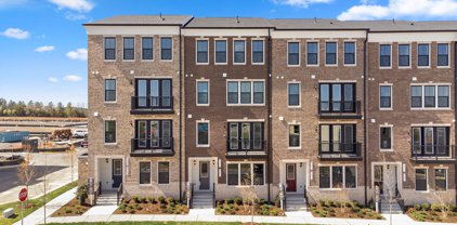 42619 Nubbins Ter, Ashburn